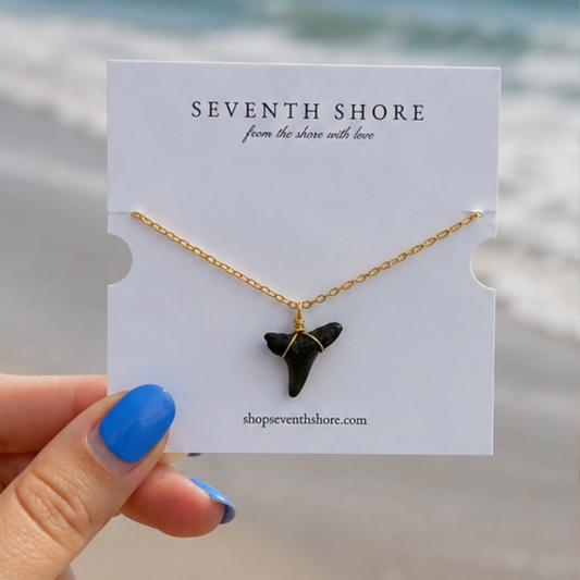 Dainty Shark Tooth Necklace