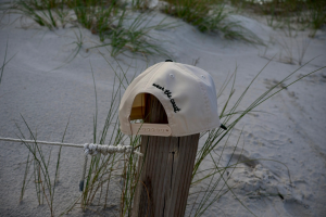 Seventh Shore Cover Photo