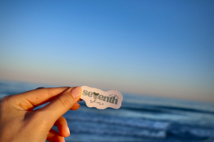 Seventh Shore Sticker